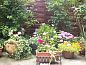 Guest house 040133 • Bed and Breakfast Antwerp • Bed and Breakfast 't Zuid  • 8 of 8