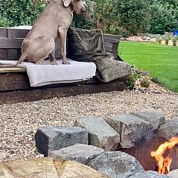 Outdoor area with fire pit in Cottage in Merksplas, cottage in Antwerp, ideal for relaxation in nature.