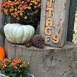 Autumn decoration at Holiday home in Merksplas, Antwerp. Cozy atmosphere with pumpkins and flowers for a cozy vacation home.