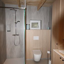 Modernes Badezimmer im Huisje Nostalgie, Ferienhaus in Laakdal, Antwerpen, mit begehbarer Dusche und Holzverkleidung.