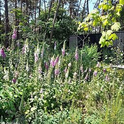 Unterkunft 044212 - Ferienhaus Antwerpen - Black Box