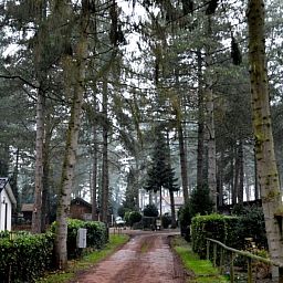 Von Baeumen umgebener Zugangsweg zum Chalet Sigal in Poppel, Antwerpen. Erleben Sie die Stille und die natuerliche Umgebung.