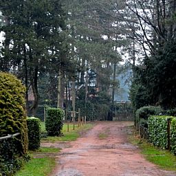 Rustikaler Weg mitten im Gruenen im Chalet Sigal in Poppel, Antwerpen. Ideal fuer Naturliebhaber.