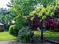Guest house 048605 • Holiday property Antwerp • Wilde Wingerd  • 5 of 10