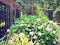Unterkunft 050605 • Ferienhaus Limburg • Abel-Guesthouse-Gardenhouse  • 9 von 17