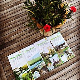 FreLune vakantiehuis in Tongeren biedt wandelbrochures en kleurrijke bloemen voor natuurverkenning in Limburg.