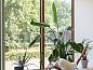 Guest house 0547189 • Holiday property Limburg • Vakantiehuisje in Zutendaal  • 2 of 26