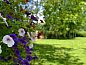 Guest house 056302 • Holiday property Limburg • Huisje in Genk  • 6 of 26