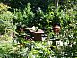 Guest house 064501 • Holiday property Liege • Vakantiehuisje in Kelmis  • 6 of 26