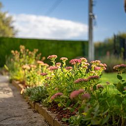 Discover the blooming garden at Holiday Home in Sivry, Hainaut, Belgium, where colorful flowers highlight the natural beauty.