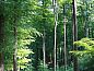 Guest house 072805 • Holiday property Hainaut • Vakantiehuisje in Elzele  • 3 of 14