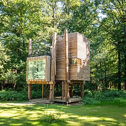 Unterkunft 0735610 - Bungalow Hennegau - 2-4 persoons The Treeloft | 2-4TH