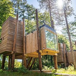 Unterkunft 07356165 - Ferienhaus Hennegau - The TreeLoft by YourNature