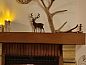 Guest house 0811802 • Holiday property Namur • Vakantiehuis in Olloy-sur-Viroin  • 9 of 21