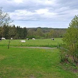 Guest house 083409 - Holiday property Namur - Vakantiehuis in Houyet