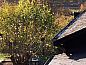 Guest house 0843906 • Holiday property Namur • Chalet Cisland  • 2 of 18