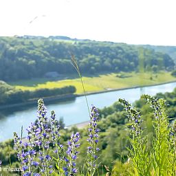 Guest house 086111 - Bungalow Namur - Het retro huisje