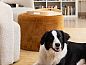 Guest house 0913929 • Holiday property Luxembourg • La Futaie Durbuy  • 6 of 24