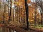 Guest house 0916703 • Holiday property Luxembourg • 2 pers Petit Gite Ardennen, huisdieren welkom  • 13 of 26