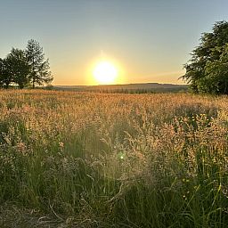 Breathtaking sunset in the lush surroundings of Holiday Home Wilogne in the Ardennes.