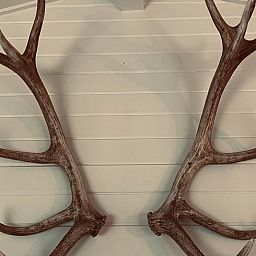 Verblijf 0925554 - Vakantiewoning Ardennen (Luxemburg) - Vakantiehuis in Hubermont