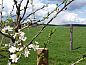 Unterkunft 0954502 • Ferienhaus Luxemburg • Vakantiehuis in Thimont - La Roche-en-Ardenne  • 14 von 24