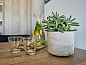 Verblijf 110216 • Vakantiewoning Belgische kust • Essential Suite - 4p | Slaaphoek - Zetelbed | Balkon -  • 6 van 24