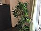 Guest house 110868 • Apartment Belgian Coast • Beethoven  • 3 of 19
