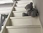 Verblijf 111341 • Vakantiewoning Belgische kust • Duinhalm  • 7 van 13
