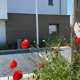 Geniessen Sie die ruhige Umgebung des Ferienhauses "Witte Oase" in Oostduinkerke an der belgischen Kueste mit wunderschoenen Blumen im Vorgarten.
