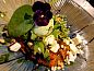 Guest house 370701 • Apartment Hainaut • Ferme Delgueule  • 14 of 26