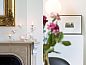 Guest house 980201 • Bed and Breakfast East Flanders • B&B Pastorie Balegem  • 12 of 23