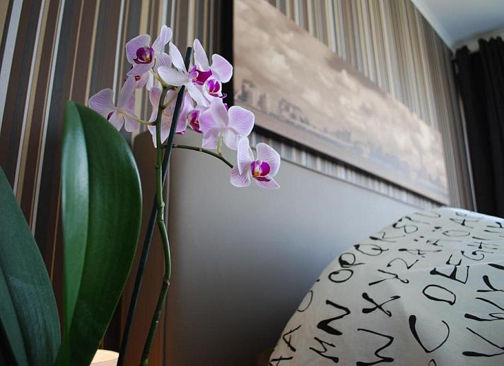 Guest house 0104105 - Apartment Antwerp - Apartment View of Antwerp