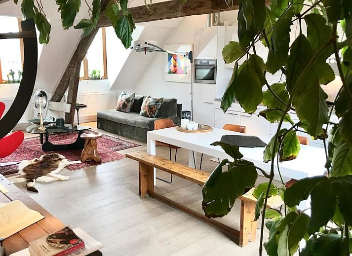 Guest house 0104132 - Apartment Antwerp - Tempor'area Apartment