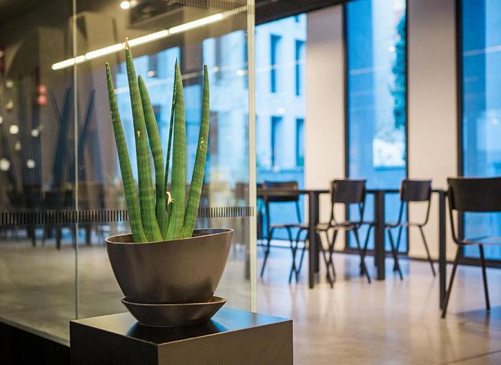 Guest house 0104149 - Apartment Antwerp - Antwerp Central Youth Hostel