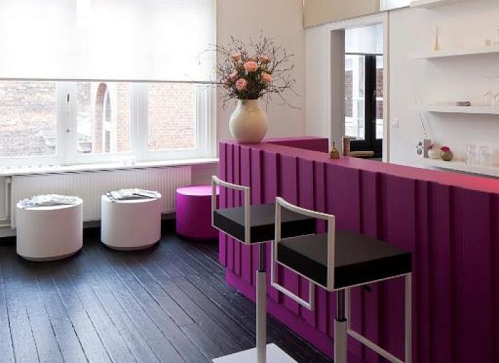 Verblijf 010464 • Bed and breakfast Antwerpen • B&B Suites FEEK