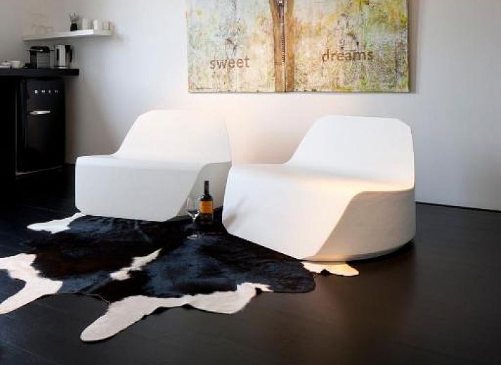 Guest house 010464 - Bed and Breakfast Antwerp - B&B Suites FEEK