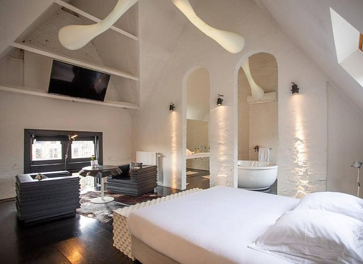 Guest house 010464 - Bed and Breakfast Antwerp - B&B Suites FEEK