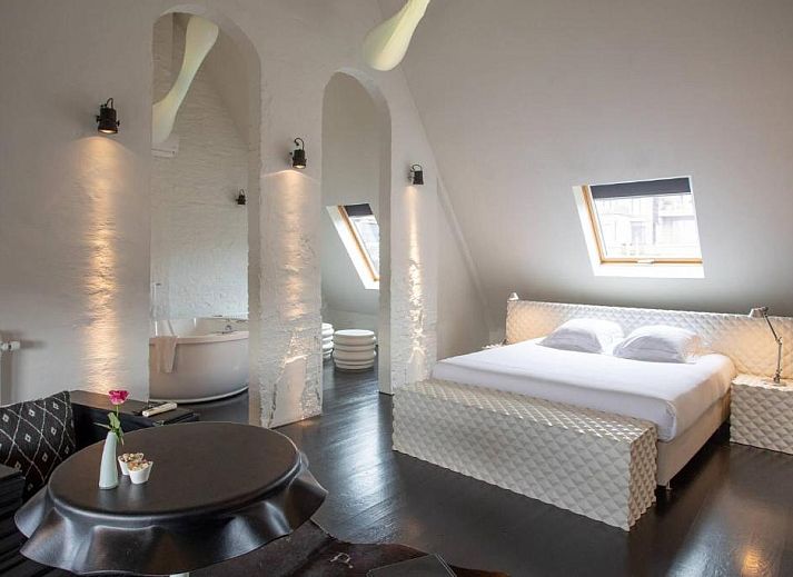 Guest house 010464 - Bed and Breakfast Antwerp - B&B Suites FEEK