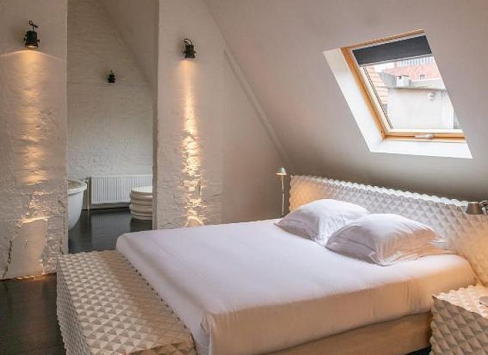 Guest house 010464 - Bed and Breakfast Antwerp - B&B Suites FEEK