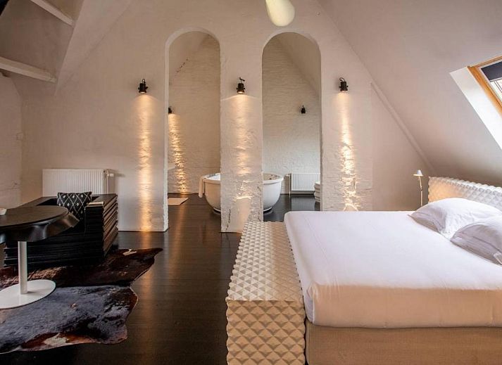 Guest house 010464 - Bed and Breakfast Antwerp - B&B Suites FEEK