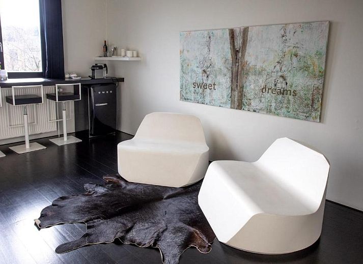 Guest house 010464 - Bed and Breakfast Antwerp - B&B Suites FEEK