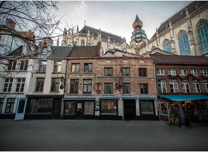 Guest house 010493 - Holiday property Antwerp - Kathedraallogies Drie Koningen