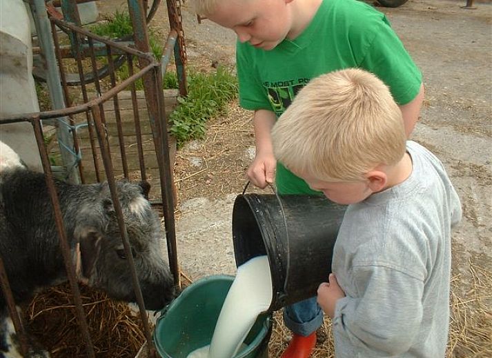 Gezellige woonkamer in Reutelhoeve vakantiehuis in Zonnebeke, West-Vlaanderen met open haard en comfortabele stoelen.