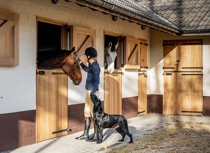 Moderne Kueche im Ferienhaus in Beernem mit Essbereich, gelegen in Beernem, Westflandern, Belgien. Perfekt fuer gemuetliche Mahlzeiten.