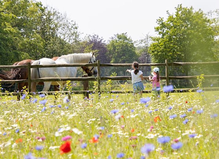 Stilvolles Badezimmer im Ferienhaus in Beernem mit Badewanne, gelegen in Beernem, Westflandern, Belgien. Luxus und Entspannung kombiniert.