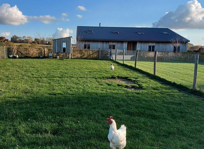 Spacious dining room in AKKERNEST vacation home, Hill Country, with long table and modern bar facilities.