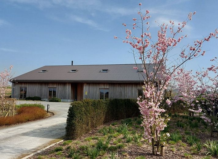 Spacious dining room in AKKERNEST vacation home, Hill Country, with long table and modern bar facilities.
