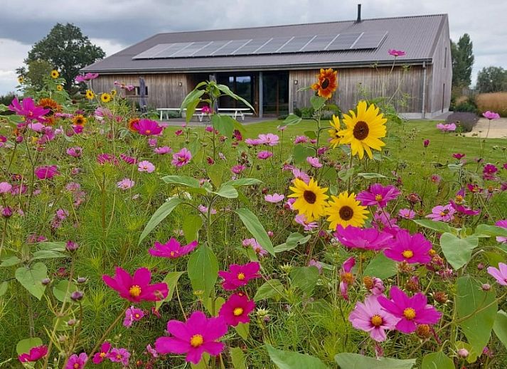 Spacious dining room in AKKERNEST vacation home, Hill Country, with long table and modern bar facilities.