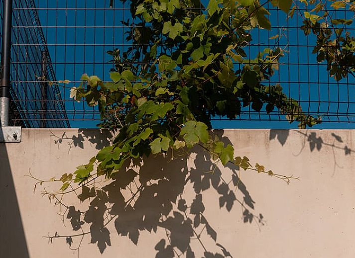 Geraeumige Veranda des Ferienhauses in Heuvelland, Westouter, mit Glaswaenden und Blick auf die Natur in Westflandern, Belgien.